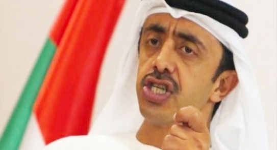 وزير خارجية الإمارات يدعو الفلسطينيين لقبول “صفعة القرن”