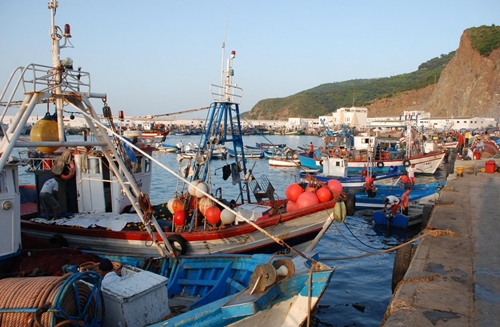 طنجة : لقاء بين مهنيي الصيد التقليدي المغاربة والإسبان لتعزيز إدارة الموارد السمكية بمضيق جبل طارق