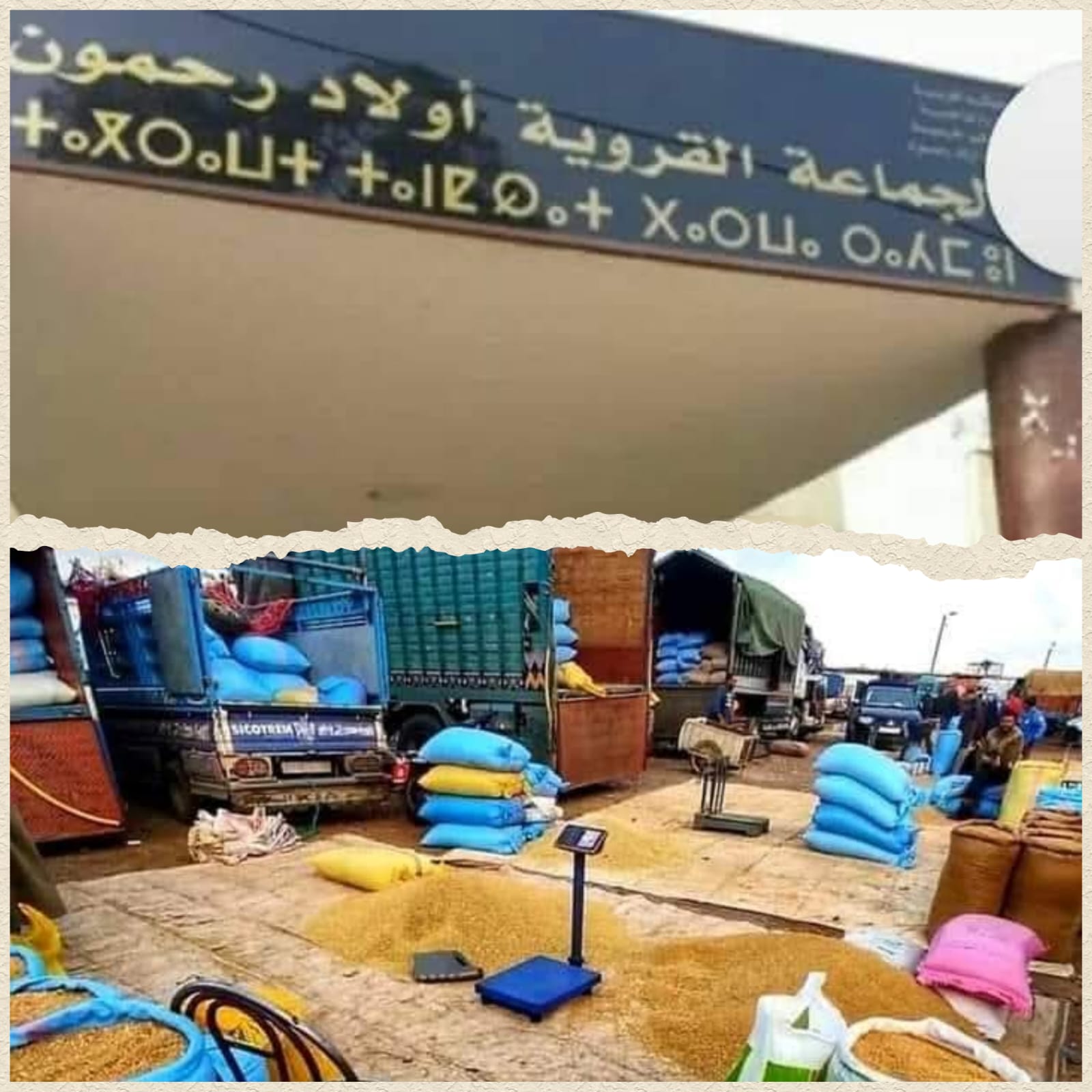 لجنة لمراقبة الخش في الأعلاف و الحبوب تحل بسوق جمعة أولاد رحمون