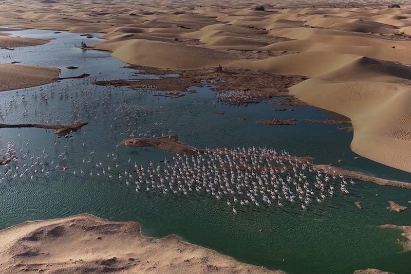 “نموذج مرجعي”: جهة العيون-الساقية الحمراء تعتمد استراتيجية مندمجة للتدبير المستدام للمياه